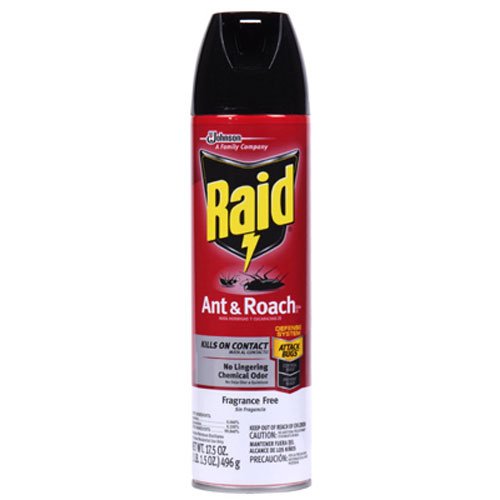 6 Best Roach Spray in 2018 Pest Survival Guide